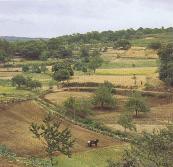 Santa Brbara